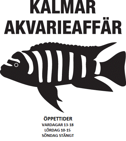 Beskrivning: I:\Kalmar Akvarieaffr\hemsidaaktuelltesting\logga.gif